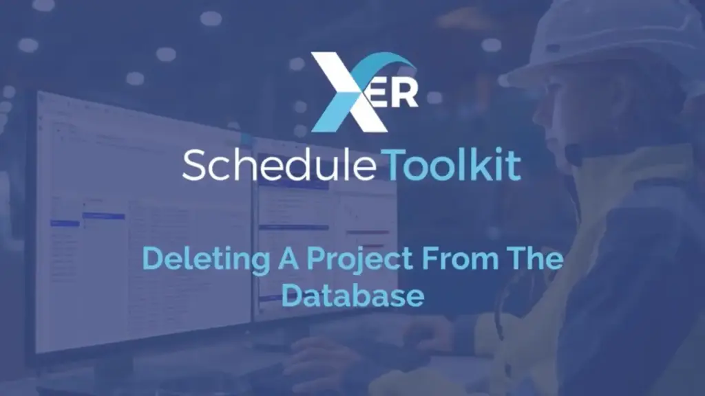 Deleting a project from the database